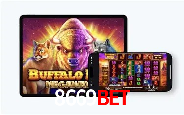 Experiência VIP 8669Bet